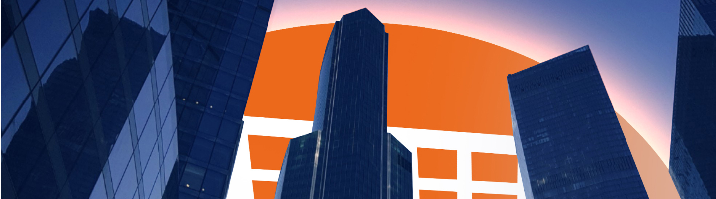 multinacionalis vállalatok